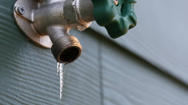 Best Commercial Plumbing Services  in Alexandria, IN
